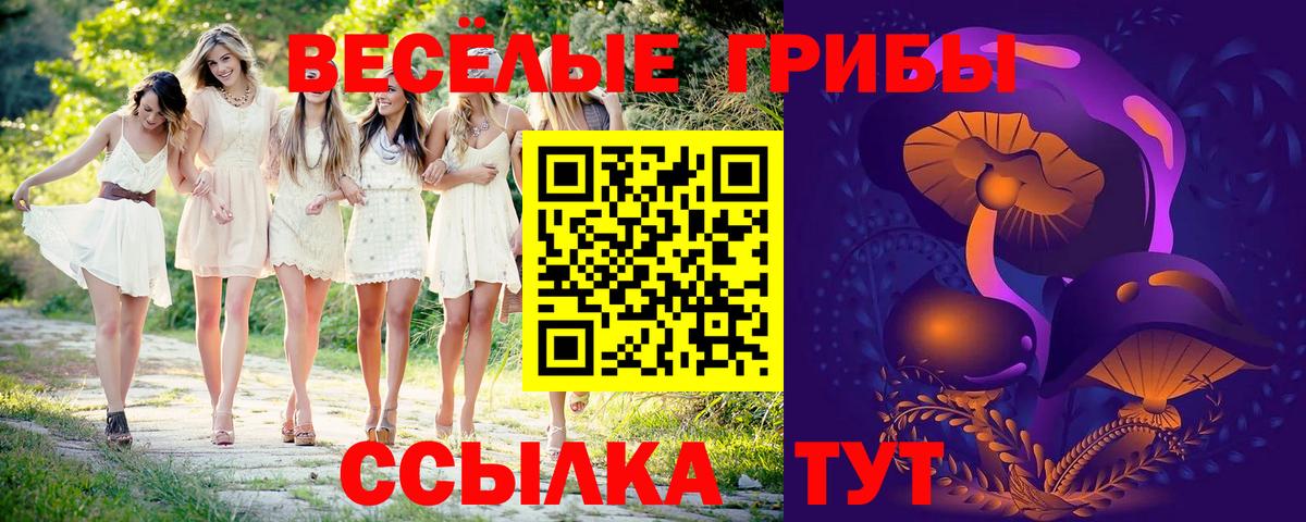 Галлюциногенные грибы Cubensis  Галлюциногенные грибы мухоморы  Вход с VPN  Камышлов 